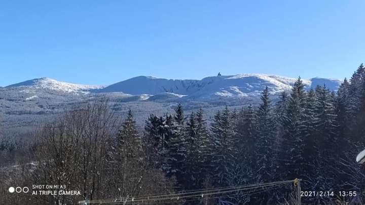 Kuligowka Шклярска-Поремба Экстерьер фото